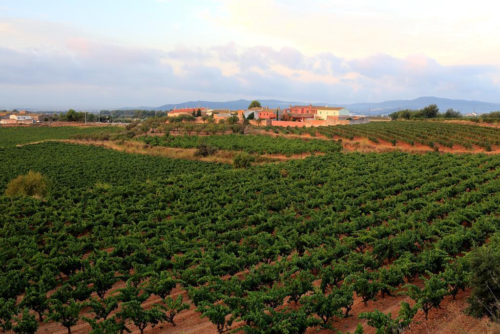 Mas Castell De Gimenelles Hotel Sant Jaume dels Domenys Exterior foto