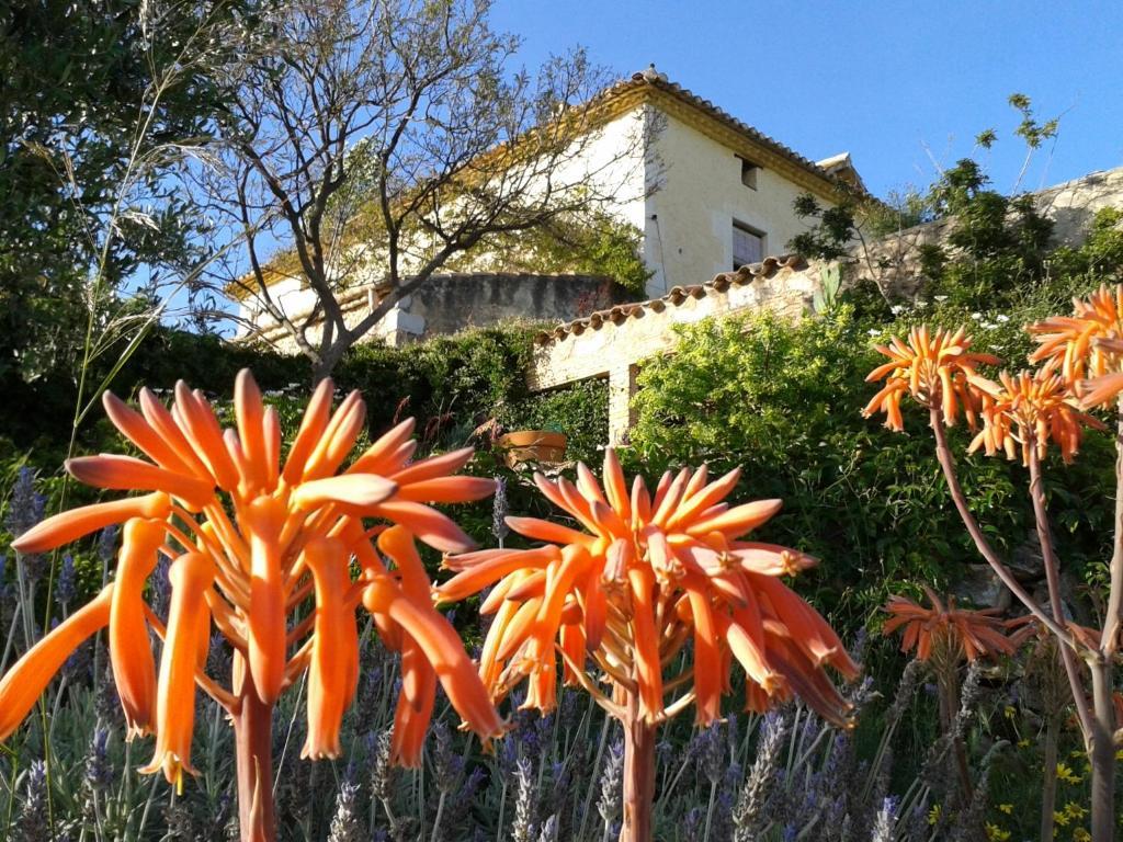 Mas Castell De Gimenelles Hotel Sant Jaume dels Domenys Exterior foto