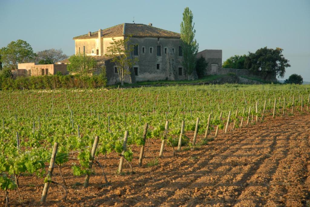 Mas Castell De Gimenelles Hotel Sant Jaume dels Domenys Exterior foto